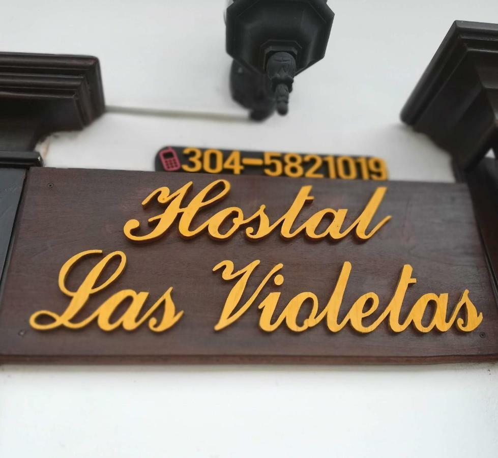 Hostal Las Violetas Jardín Exterior foto